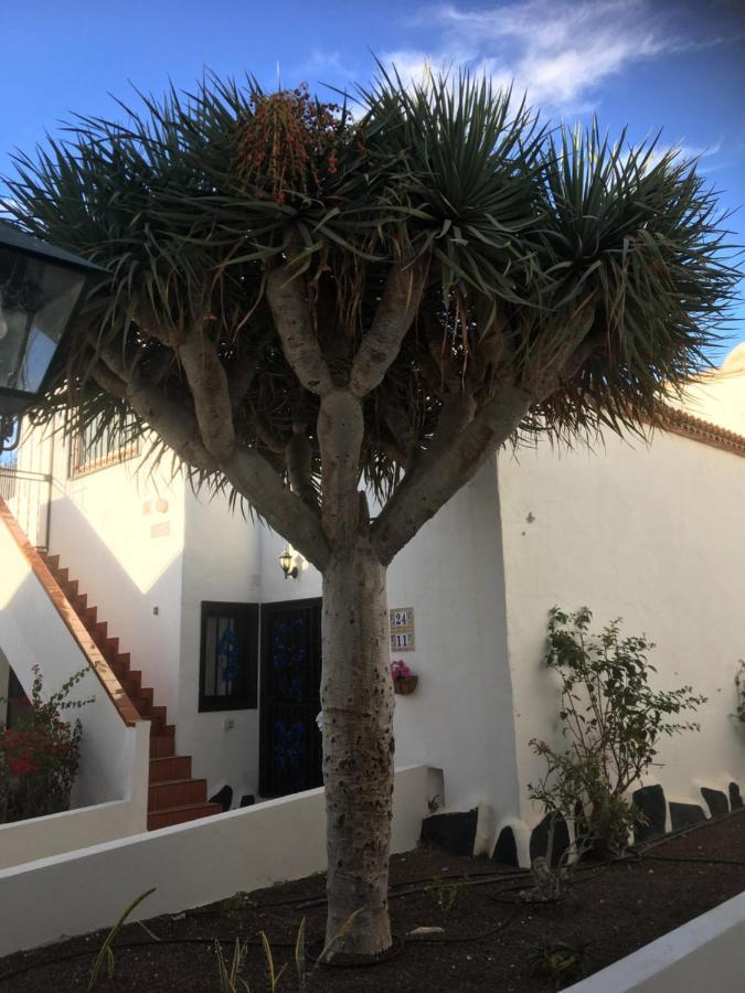 Tenerife Costa del Silencio Exterior foto